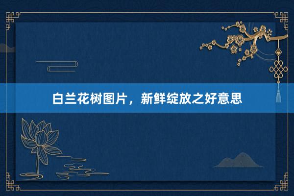 白兰花树图片,新鲜绽放之好意思