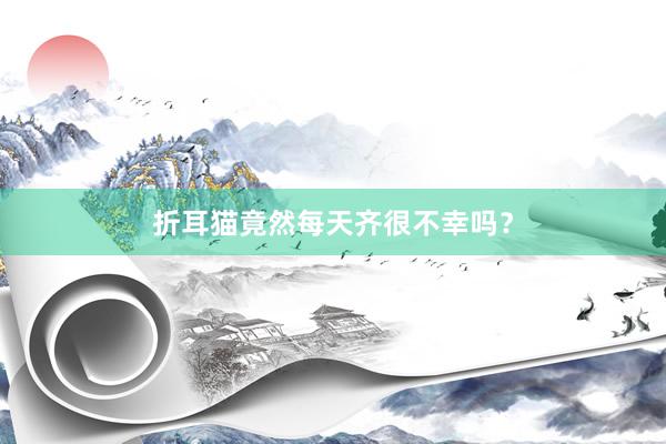 折耳猫竟然每天齐很不幸吗？