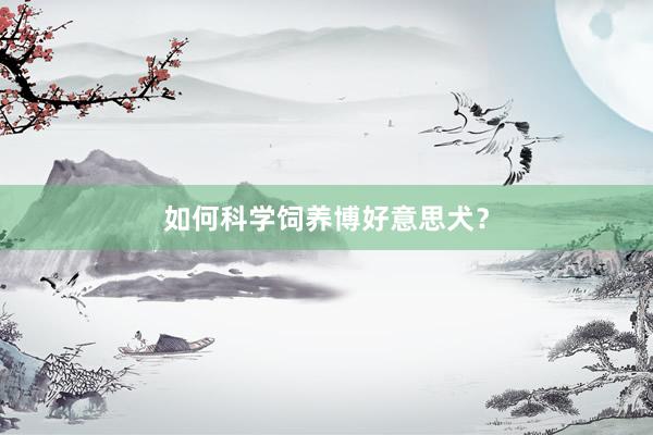 如何科学饲养博好意思犬？