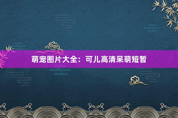 萌宠图片大全：可儿高清呆萌短暂