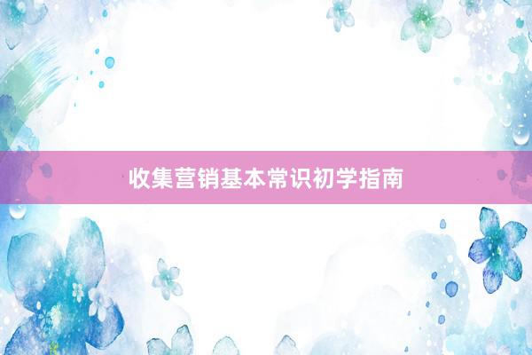 收集营销基本常识初学指南